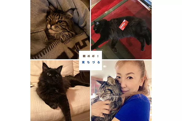 宅配のお兄さんも怯む！？東ちづるの愛猫'ピース'くんは優しきメイン