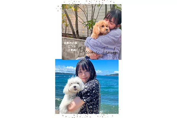 家族が増えました！優しすぎる「こつぶ」くん と保護施設から来た