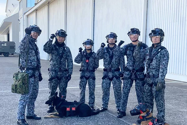 9e50721b27dedbb900dab3e175abe9